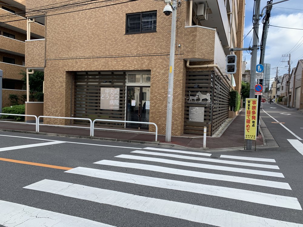 病院　動物病院（病院）まで355m