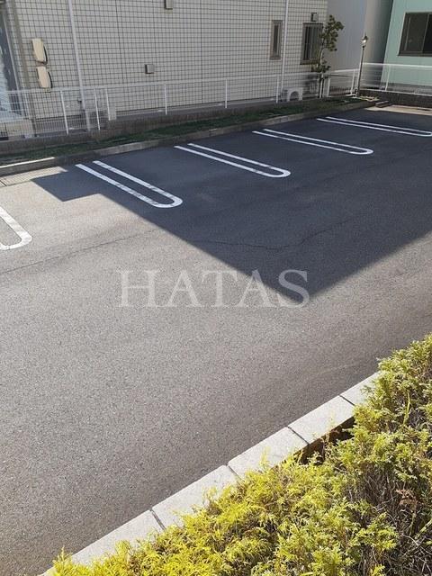 ソル レヴェンテのその他写真
