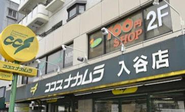 ショッピングセンター　ココスナカムラ入谷店（ショッピングセンター）まで391m
