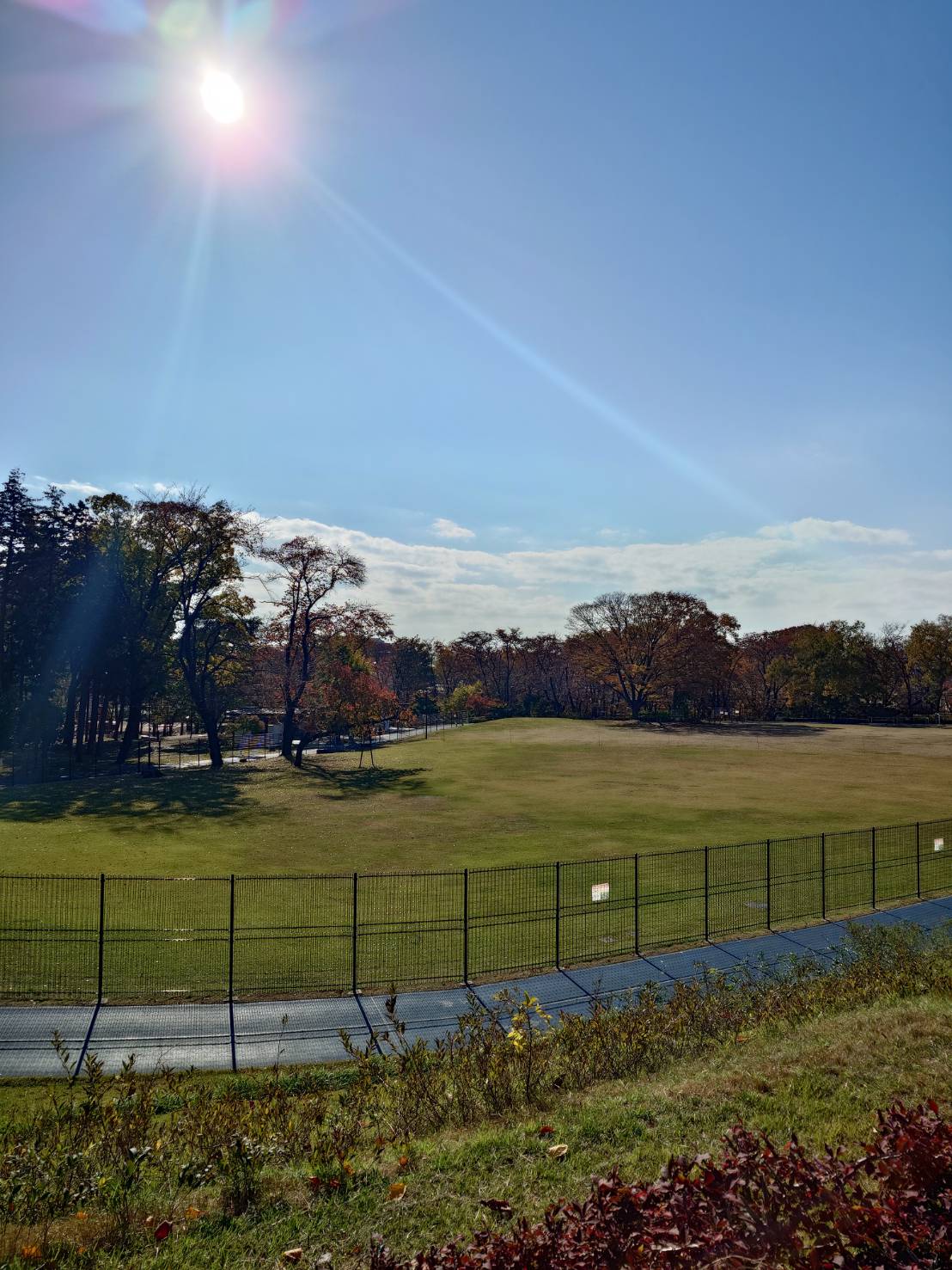 公園　鶴間公園（公園）まで680m