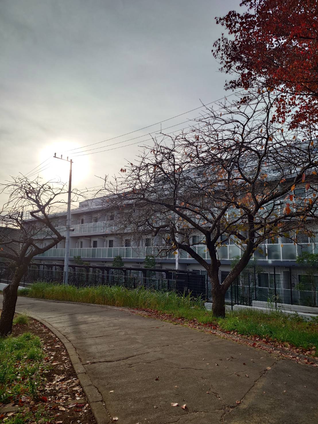 公園　緑道（公園）まで10m