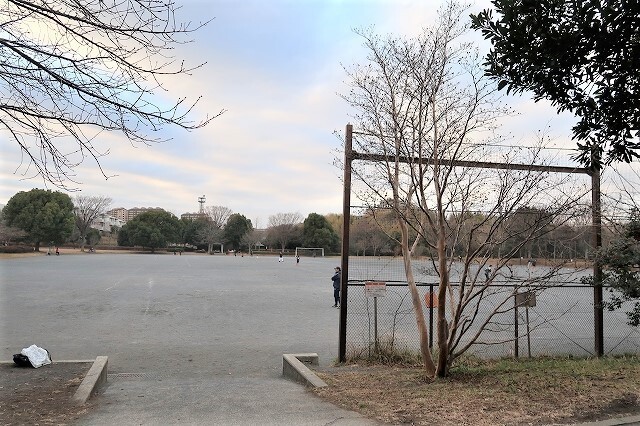 【ＮＳビルの公園】