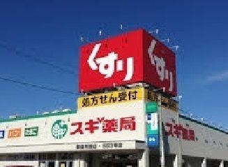 【安城市桜井町のアパートのドラックストア】