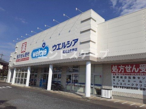 【高崎市下佐野町のアパートのドラックストア】