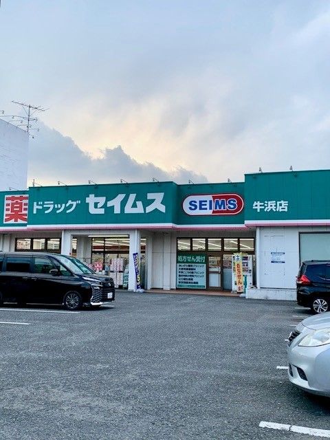 ドラックストア　セイムス牛浜店（ドラッグストア）まで800m
