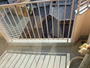 バルコニー　※別のお部屋の写真です。現況を優先させていただきます。