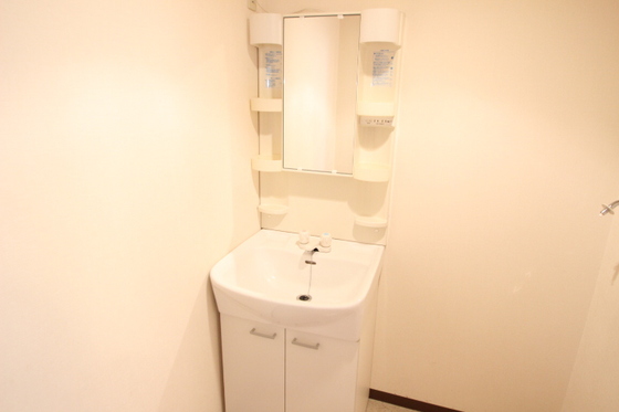 洗面設備　別部屋の写真です。