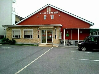 病院　まつむら動物病院（病院）まで170m