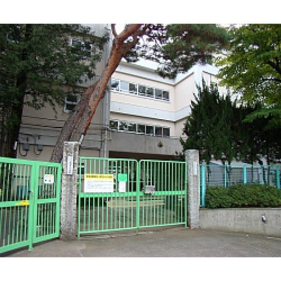 小学校　杉並区立大宮小学校（小学校）まで497m