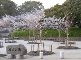 公園　雁宿公園（公園）まで320m