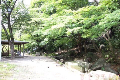 公園　江戸川公園（公園）まで450m