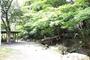 公園　江戸川公園（公園）まで450m