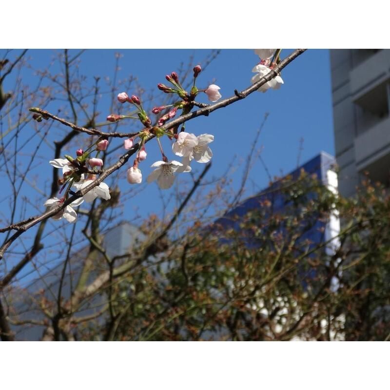 眺望　MIT　豊島区西池袋３