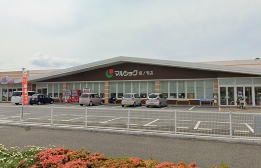 スーパー　マルショク坂ノ市店（スーパー）まで542m