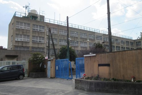 小学校　東大阪市立藤戸小学校（小学校）まで482m