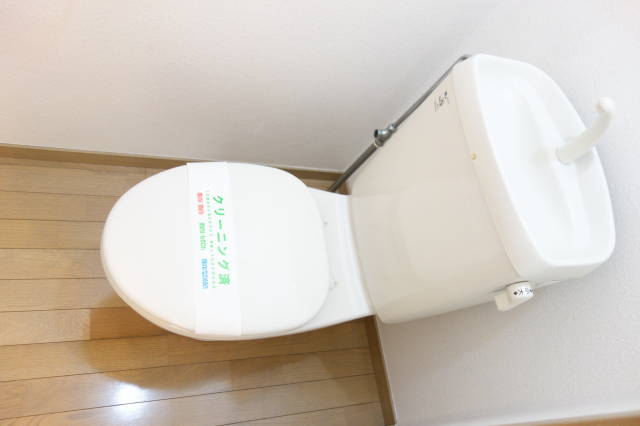 細井ハイツIのトイレ写真