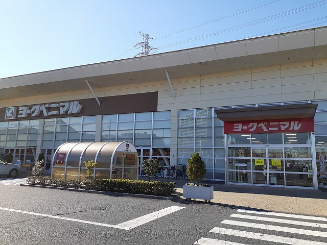 その他　ヨークベニマル　簗瀬店まで600m