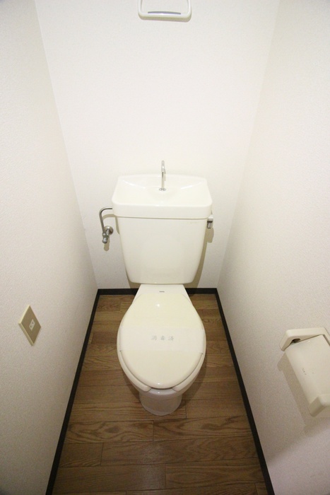 玉学サイドパレス 3のトイレ写真