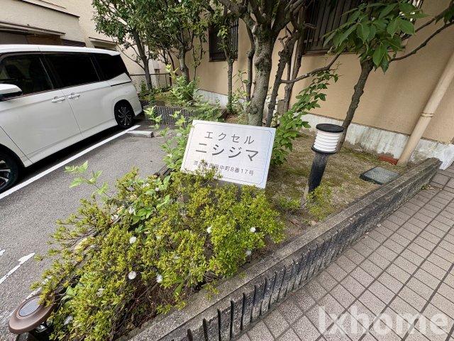 エクセルニシジマのその他写真