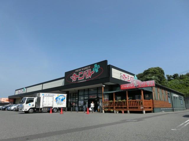 スーパー　カーニバル（スーパー）まで450m