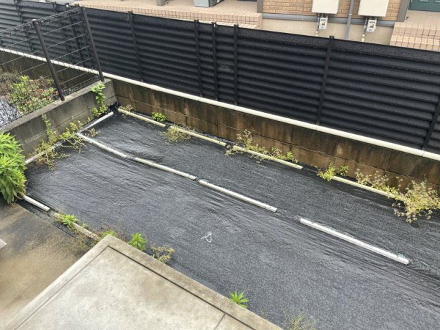 庭