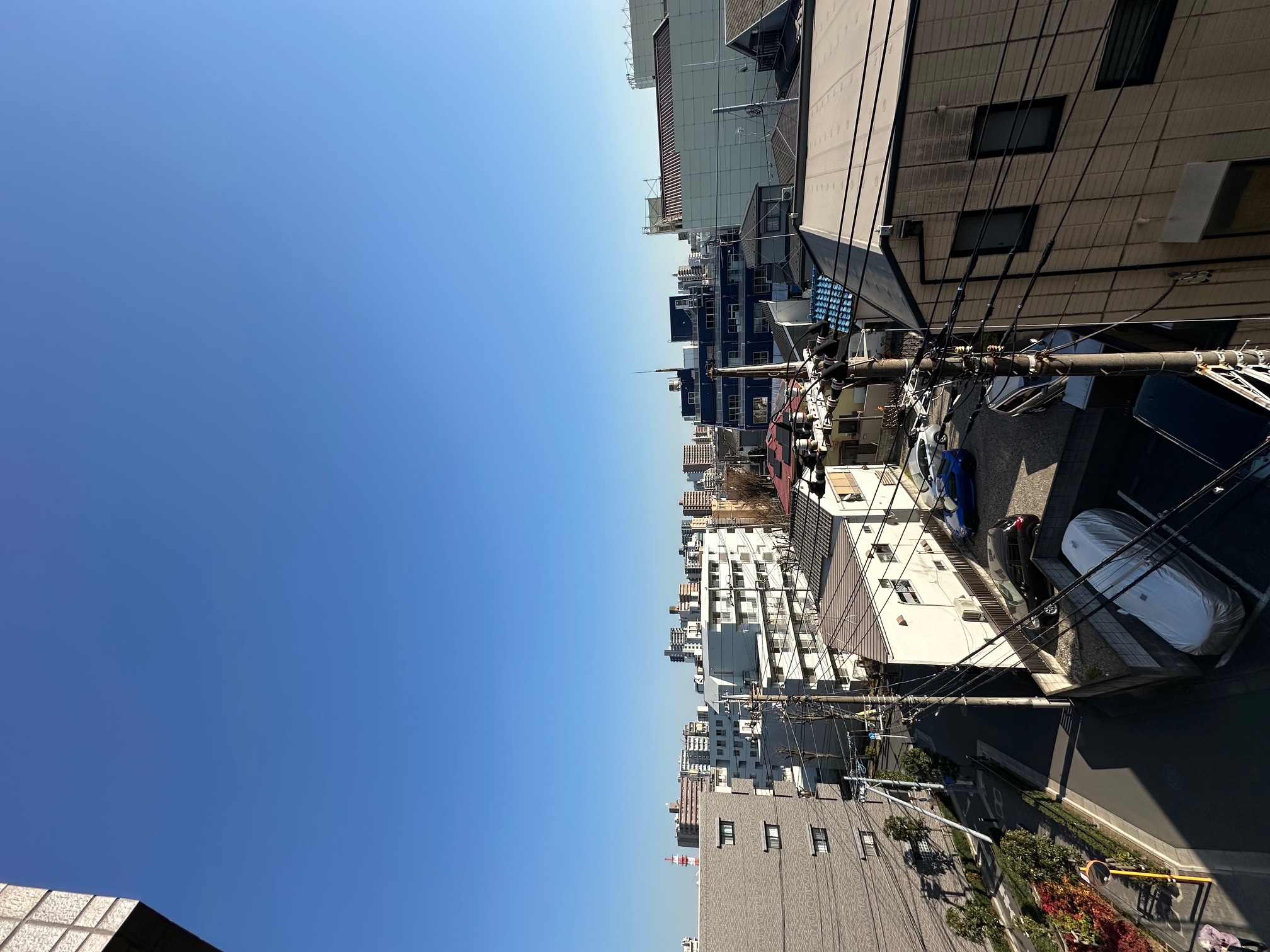 眺望