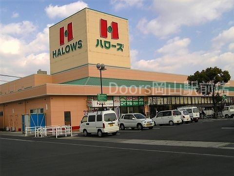 スーパー　ハローズ江崎店（スーパー）まで1353m