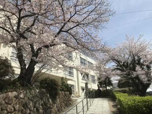 【ボヌールＭの小学校】