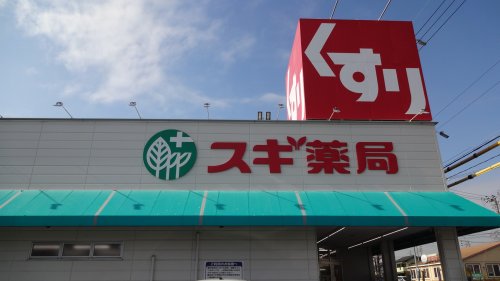 【ラ・メゾン・ドゥ日名中町のドラックストア】