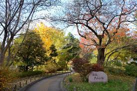 公園　都立戸山公園箱根山地区（公園）まで620m