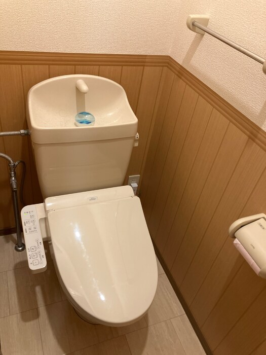 ロイヤルタウン広面 Bのトイレ写真