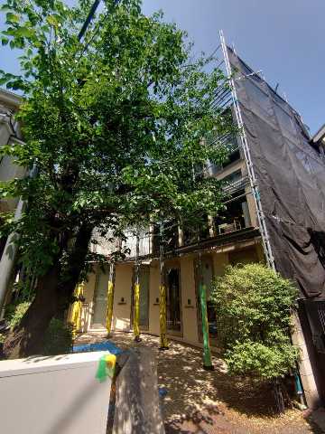 エントランス　サクラノキテラス中目黒