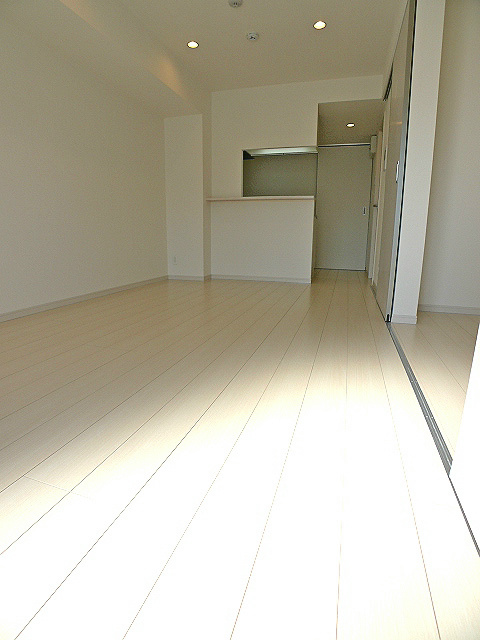 居室・リビング　ＬＤＫ11.3帖