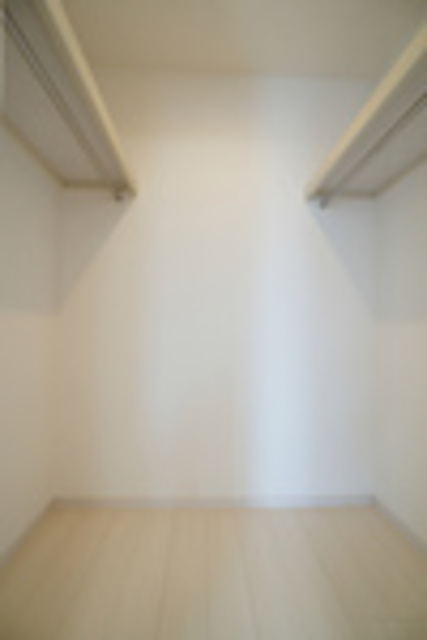 収納　ウォークインクローゼット