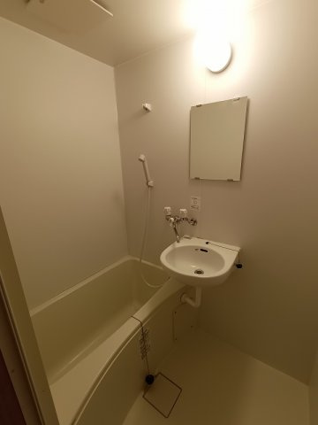 バス・シャワールーム　同仕様・同タイプ別号室の写真です