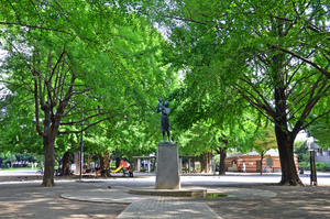 公園　板橋区平和公園（公園）まで699m