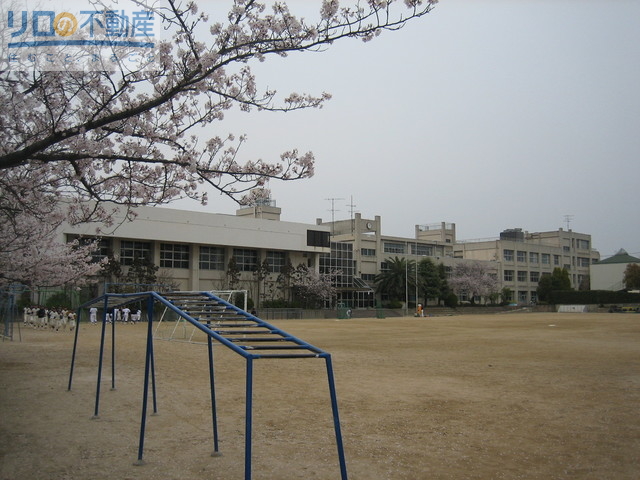小学校　伊丹市立桜台小学校（小学校）まで443m