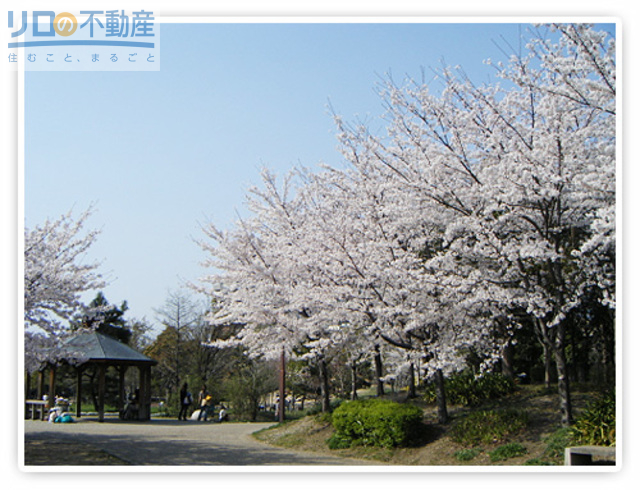 公園　十六名公園（公園）まで568m