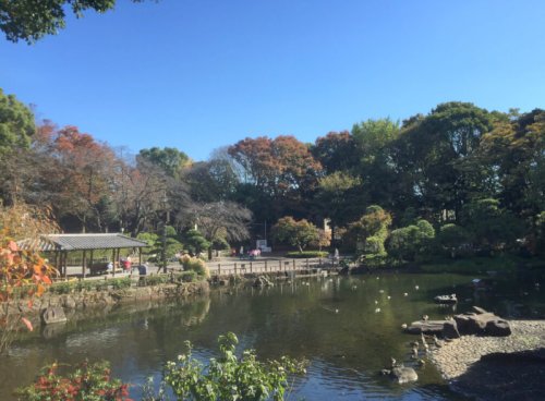 公園　戸越公園（公園）まで444m