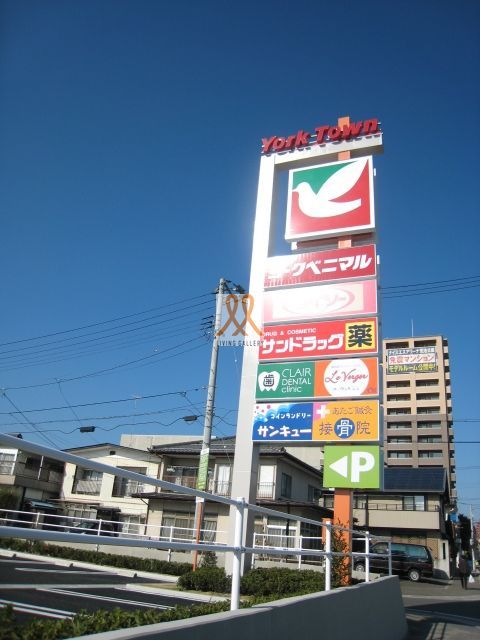 スーパー　ヨークベニマル堤下店（スーパー）まで1360m