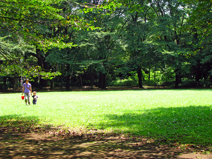 公園　駒場公園（公園）まで590m