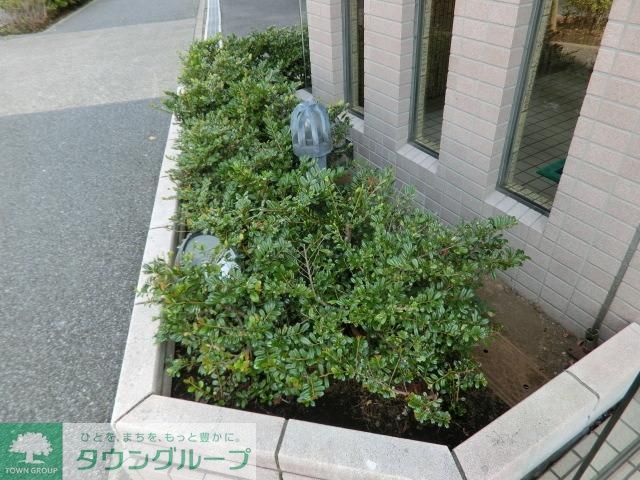 庭