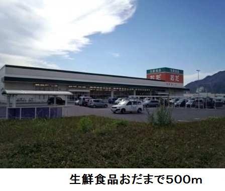 その他　生鮮食品おだまで500m