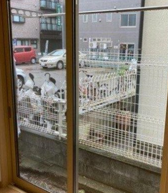 眺望