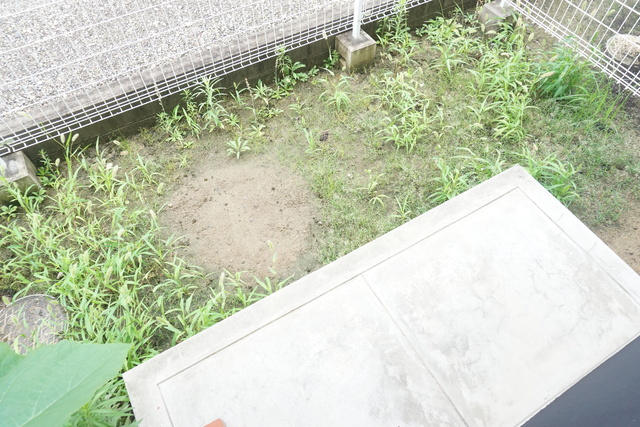庭　★専用庭がございます★
