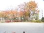 公園　馬頭橋児童遊園（公園）まで268m