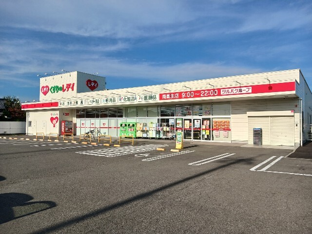 その他　くすりのレデイ南鳥生店まで1100m