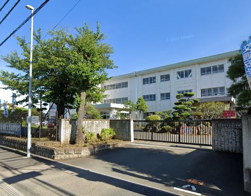 小学校　平塚市立金目小学校（小学校）まで246m