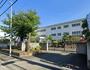小学校　平塚市立金目小学校（小学校）まで246m