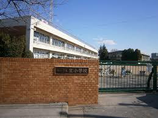 中学校　川口市立里中学校（中学校）まで250m